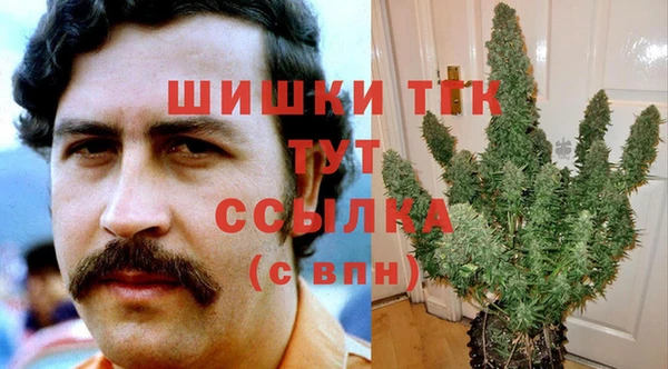 PSILOCYBIN Алексеевка