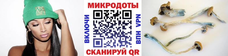 купить наркотики сайты  Любань  Галлюциногенные грибы мицелий 